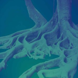 Stage immersif Body-Mind Centering® — 3 week-ends à La Scierie